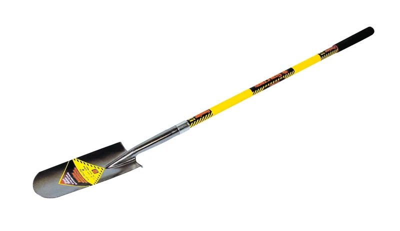vassartruevalue4105097