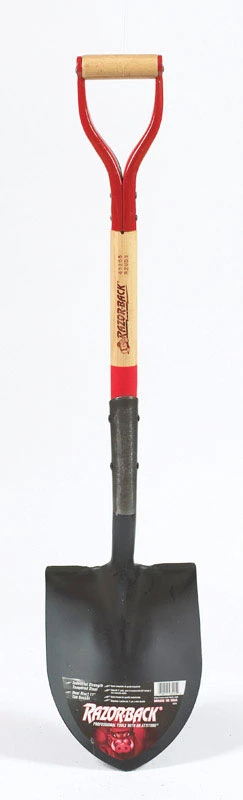 vassartruevalue4126166
