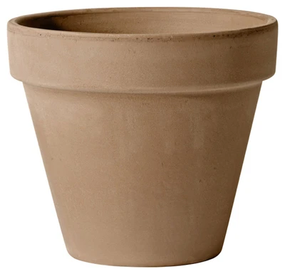 vassartruevalue4180406