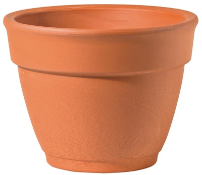 vassartruevalue4181565