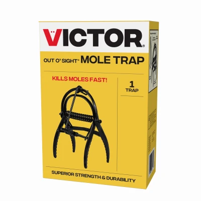 vassartruevalue4373767