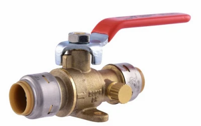vassartruevalue4494448