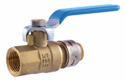 vassartruevalue4500510