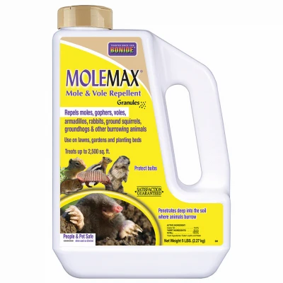 vassartruevalue4598640