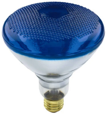 vassartruevalue4683202