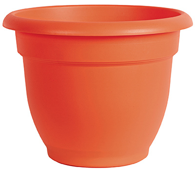 vassartruevalue4765044