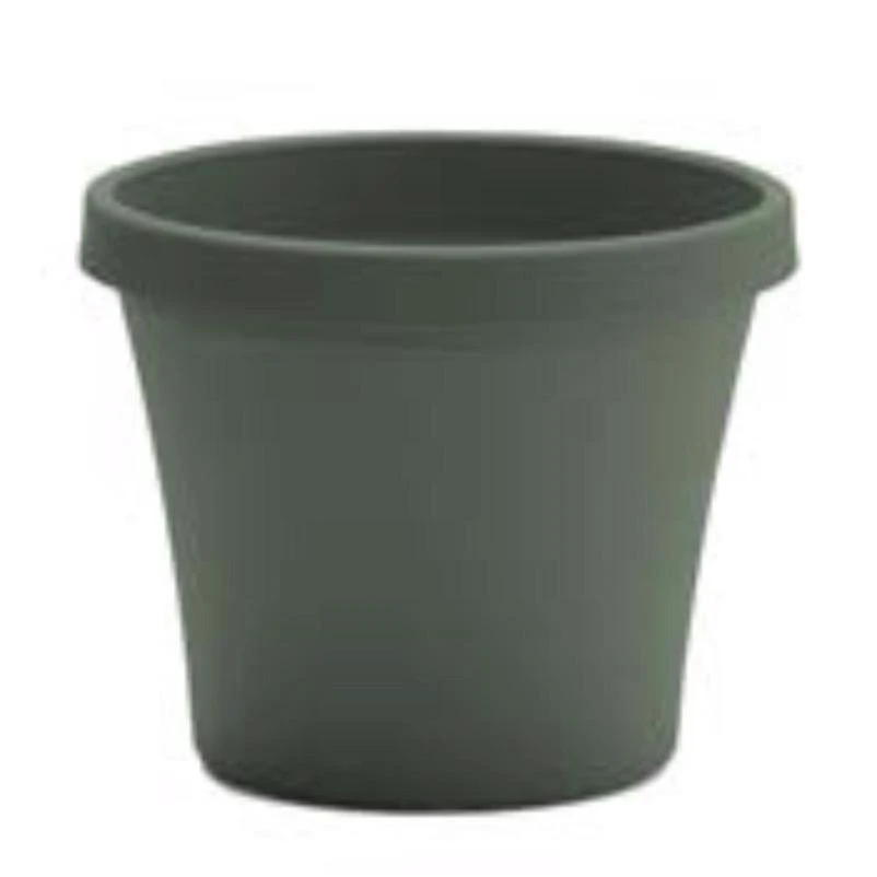 vassartruevalue4870207