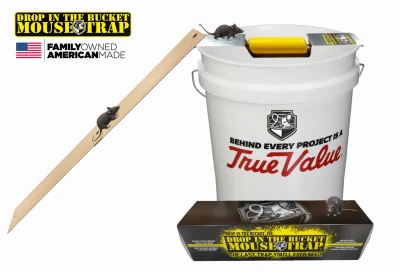 vassartruevalue4879388