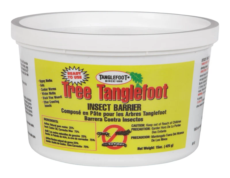 vassartruevalue5147960