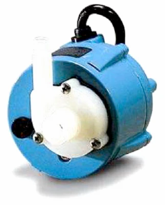 vassartruevalue5463994