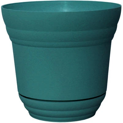 vassartruevalue5488204