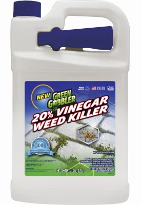 vassartruevalue5965179