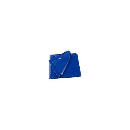 vassartruevalue6011227