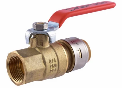 vassartruevalue6061130