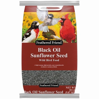 vassartruevalue6067274