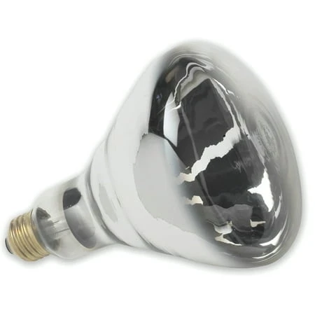 wdbryant5398160