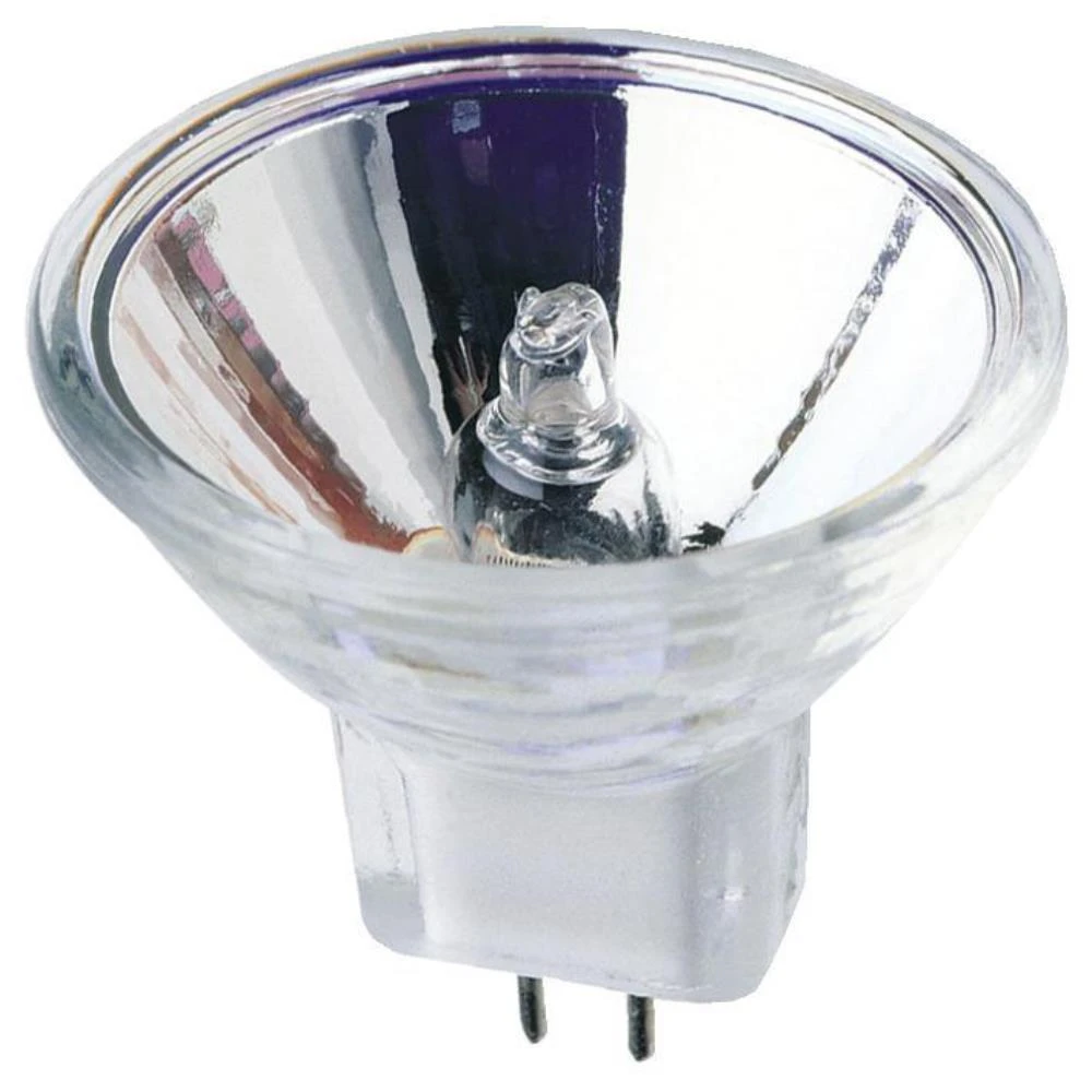 wdbryant5472004